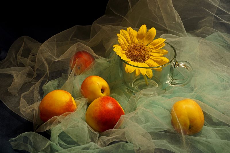 Чашка и спелые нектарины. фото превью