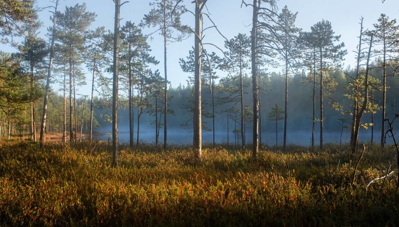 синий туман, озеро, острова, паутина Синий туман фото превью