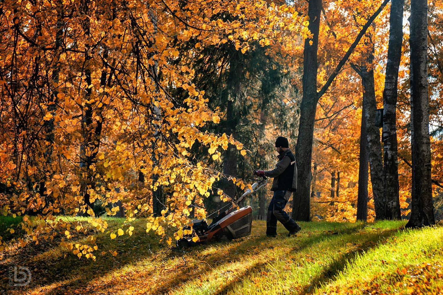 , Дмитрий Бакулин