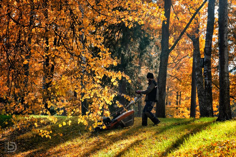 газонокосильщик фото превью