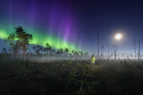 На границе двух миров