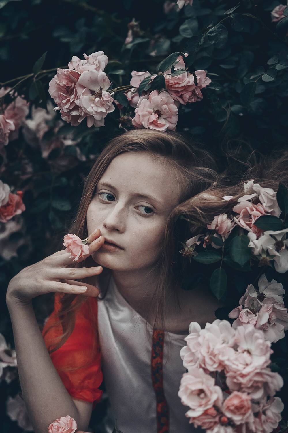 35mm, 4x5, 6x6, 6х6, 85mm, Art, Artnude, Ballerina, Ballet, Battur, Beautiful, Beauty, Canon, Canon 5D Mark III, Car, Color, Dance, Dress, Emotion, Eyes, Face, Flowers, Ganzo, Genre, GirlHair, Hero,LightLilac, Model, Mongol, Mongolia, Вероника Гергерт