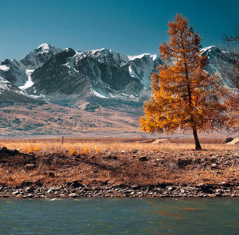 Алтай фото превью