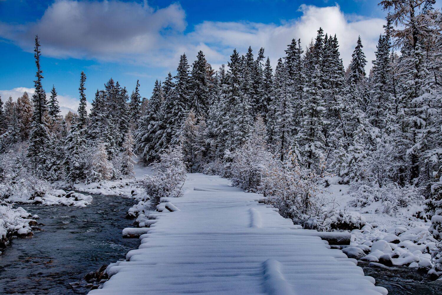 алтай. осень. горы., Евгений Дроботенко