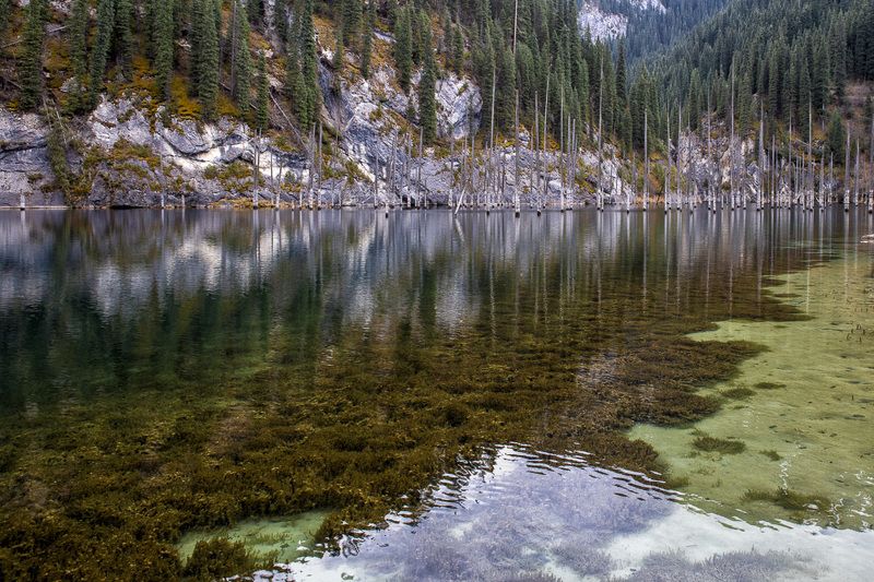 Озеро Каиынды. Казахстан фото превью