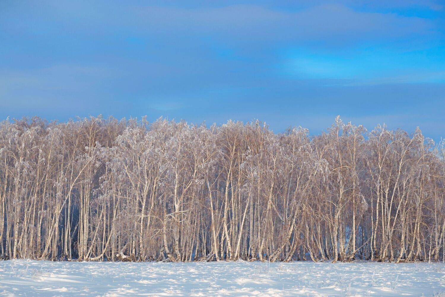 , Антонов Антон