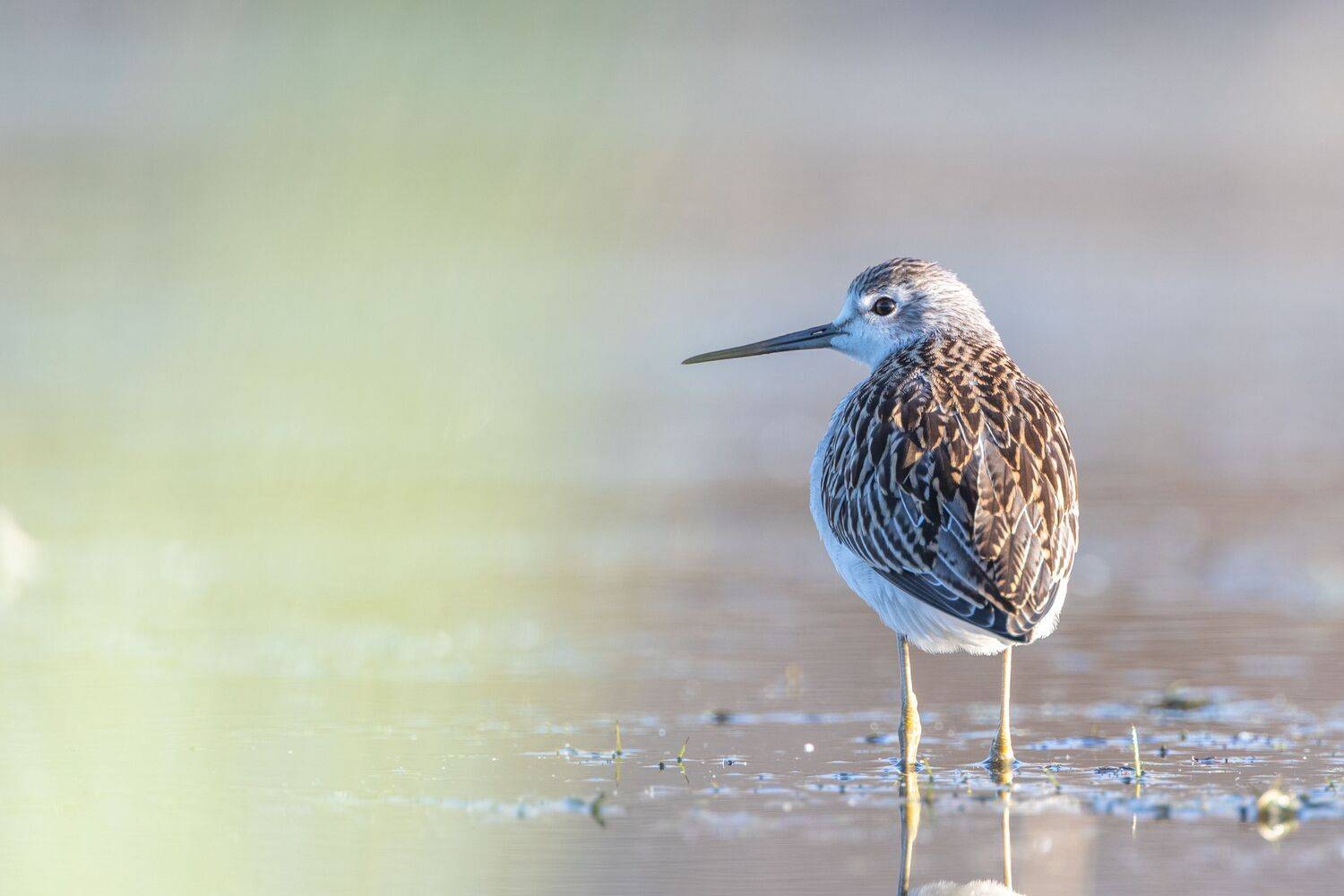 , артем федоров