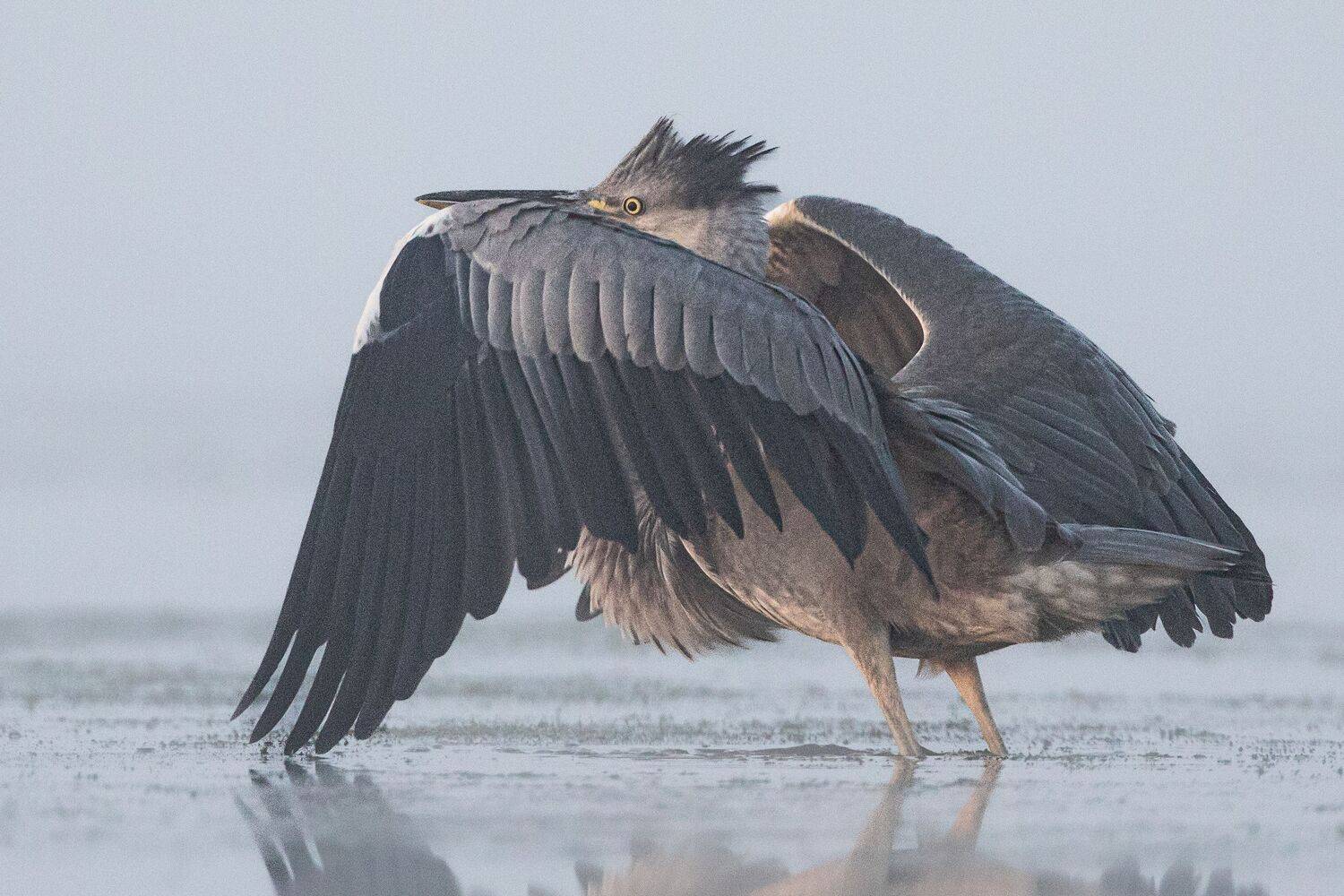 , артем федоров