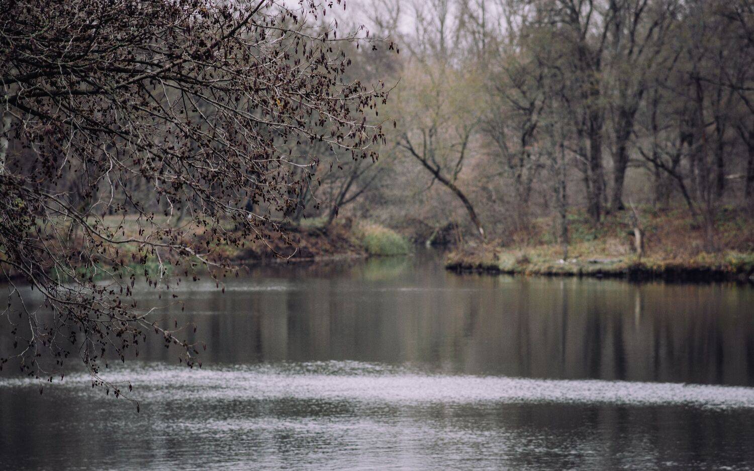 , Юрий Вертиков