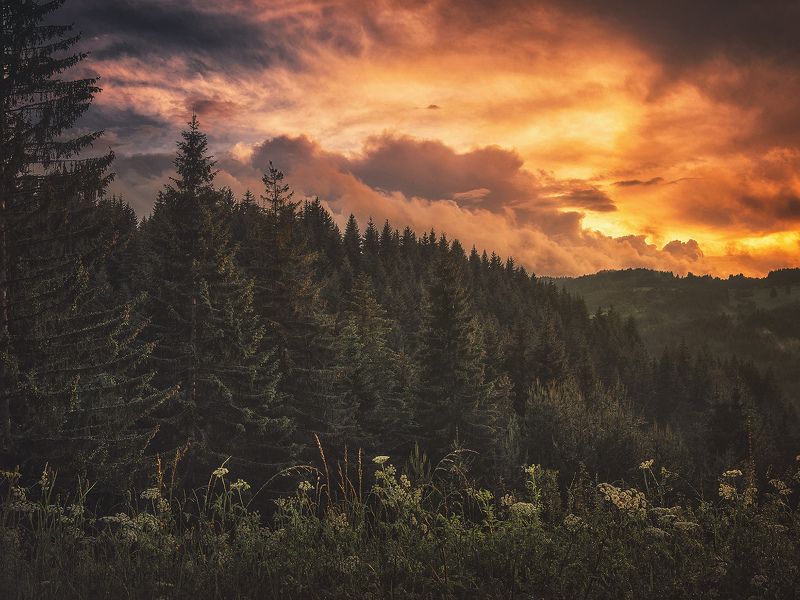 fire in the sky фото превью