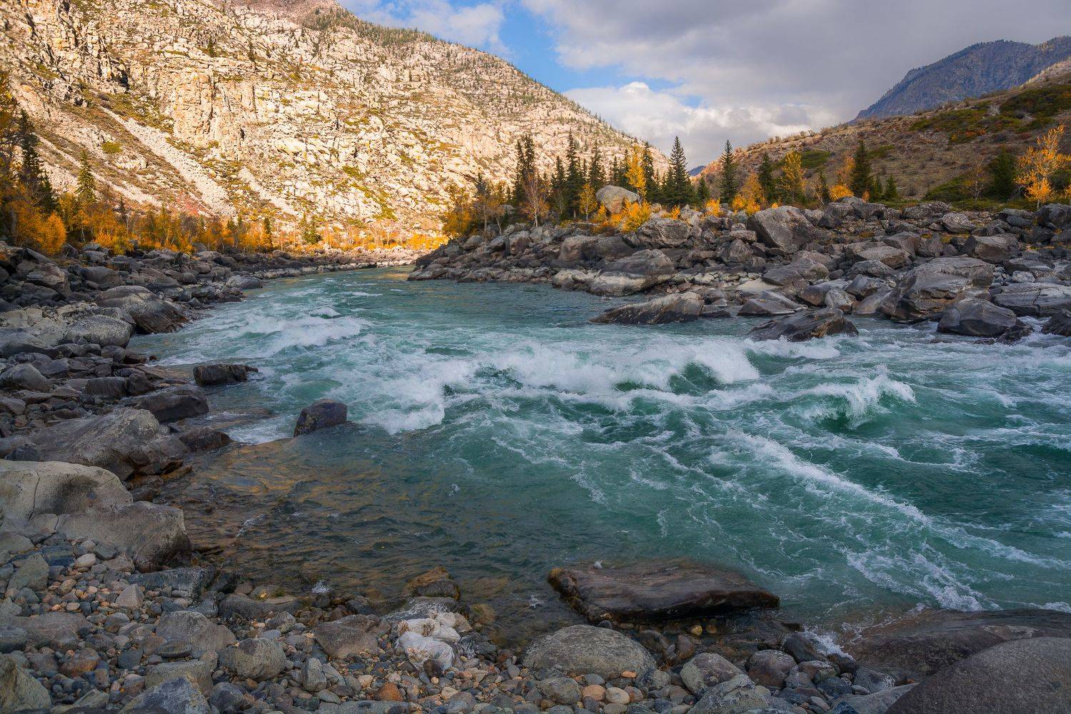 россия, горный алтай, река катунь, осень, Андрей Поляков