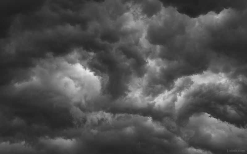 чб, абстракция, арт-фото, art of nature, abstraction, art, туманный лес, дюны финского залива, вода на выдержке, кучерявые облака, пыльца Ландшафты мира фото превью