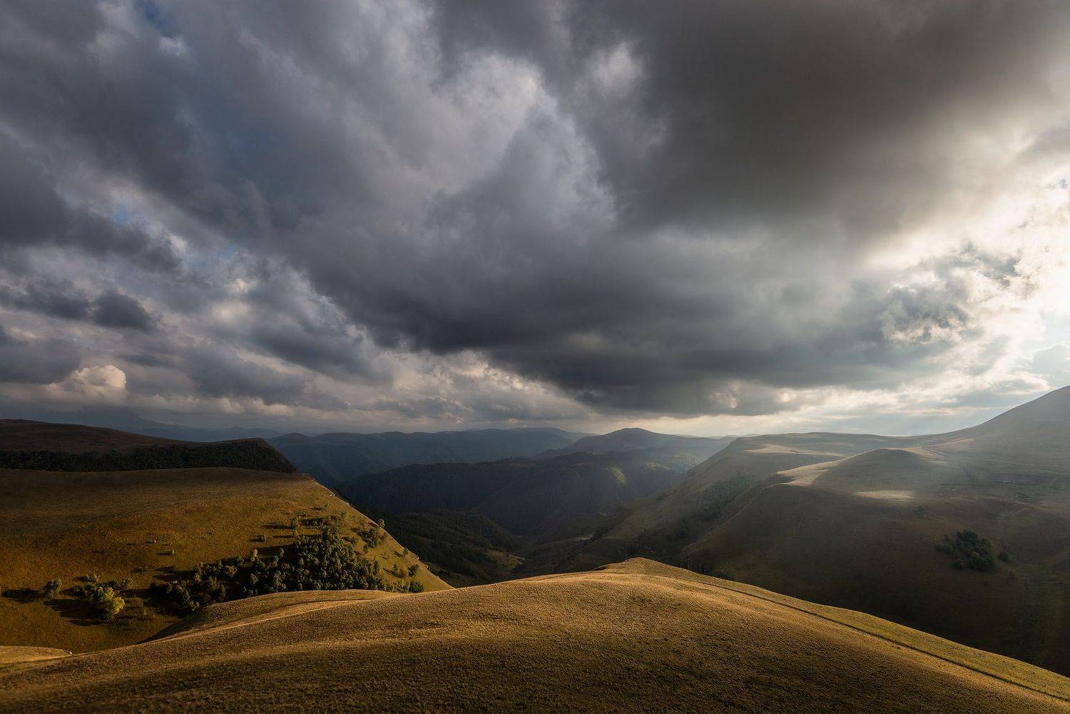 , Шевченко Юрий