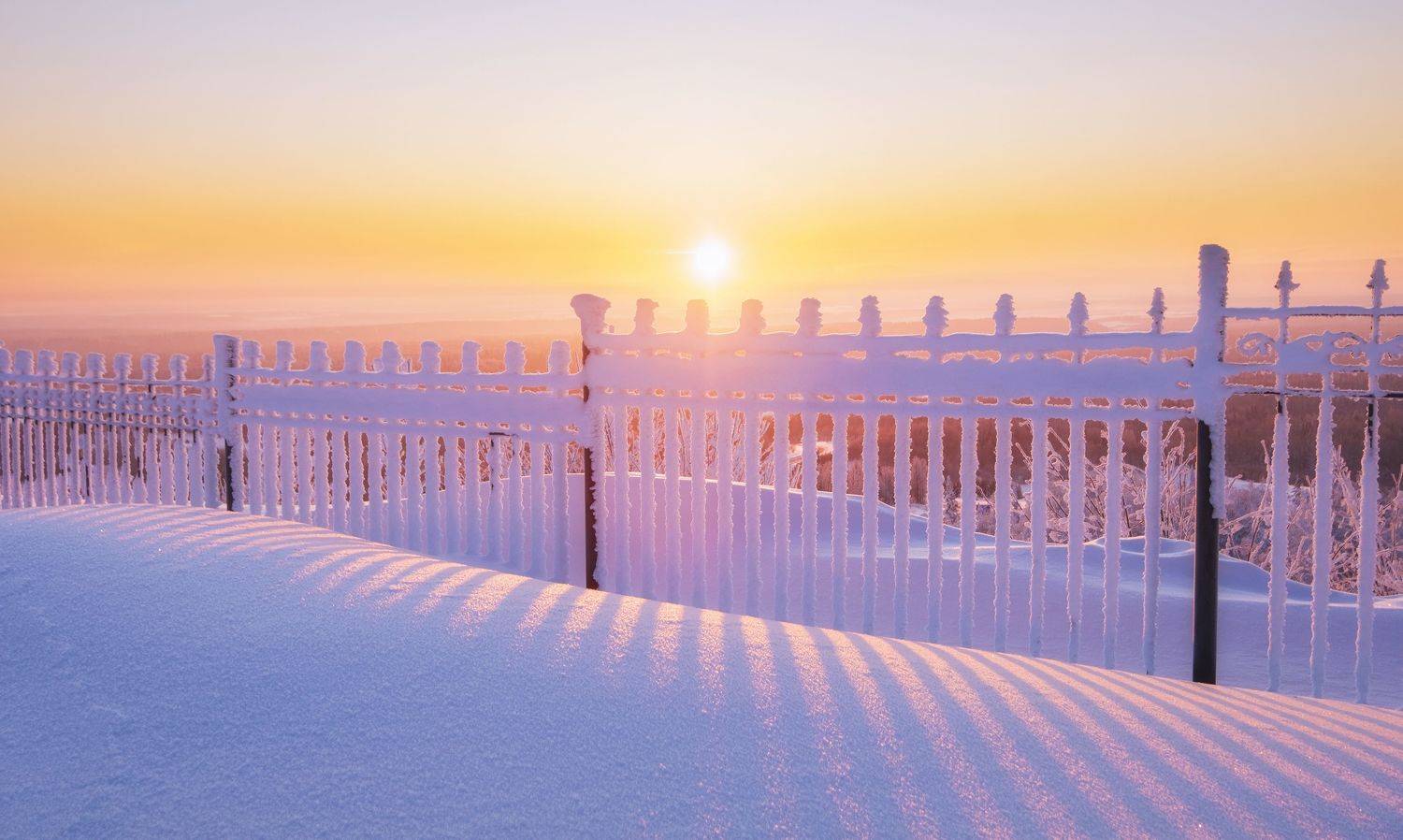 , Светлана Краюшкина