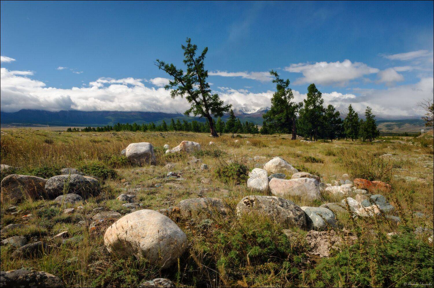 горный алтай, горы, курай, курайская степь, северо-чуйский хребет, Андрей Шумилин