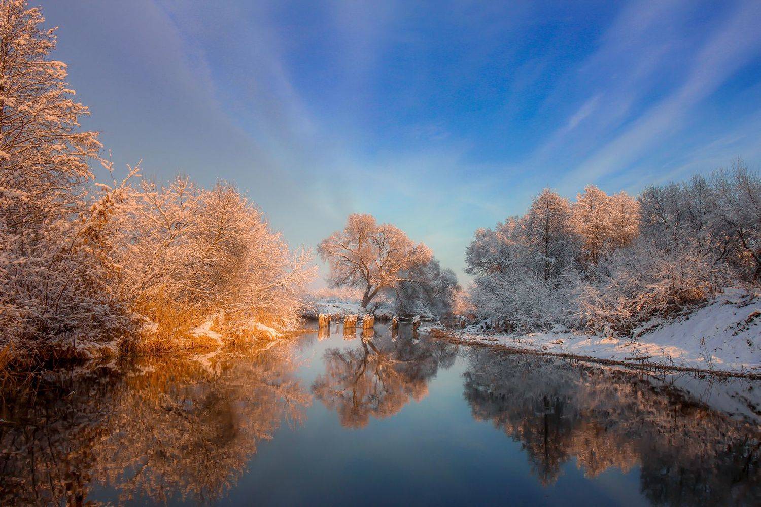 , Игорь Денисов