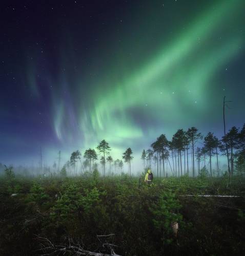 Иногда надо остановиться и просто наблюдать...