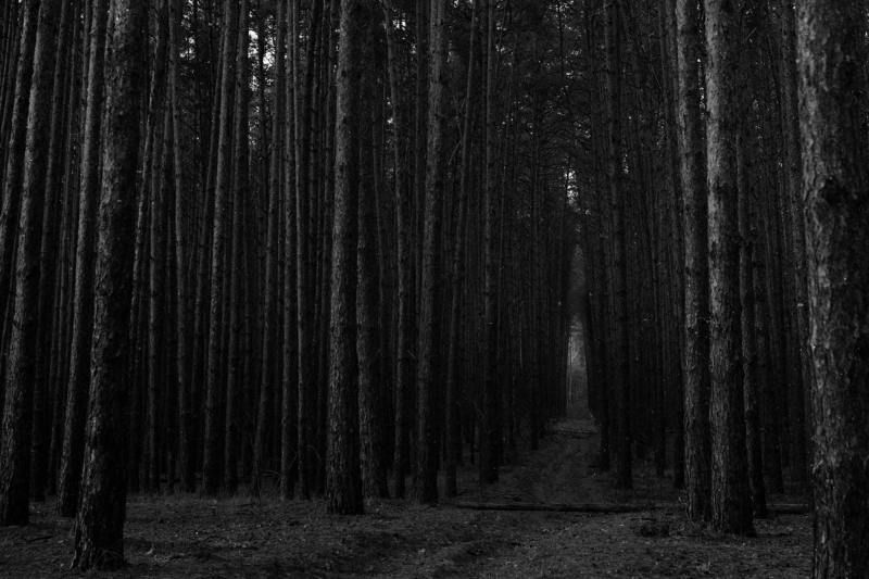 Сумрак... фото превью