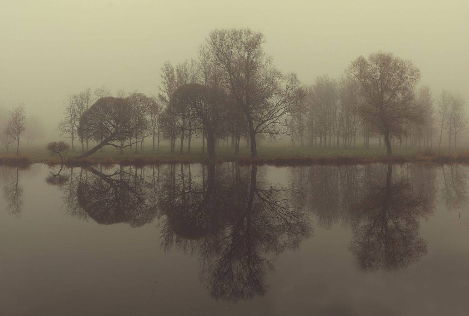 спб,муринский парк,муринский ручей, alexOmRam