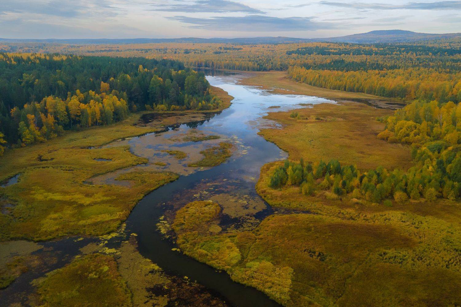 осень урал лес река облака, Жданов Дмитрий