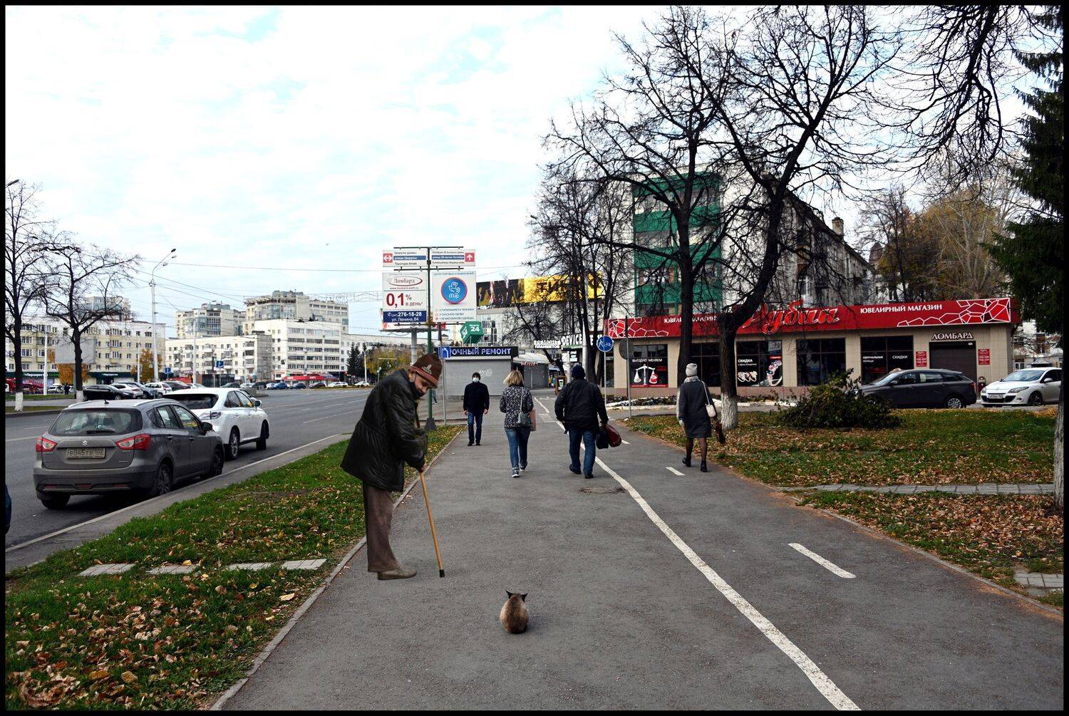 , Меднов Влад