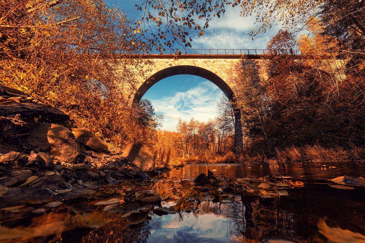 , Третьякова Анастасия