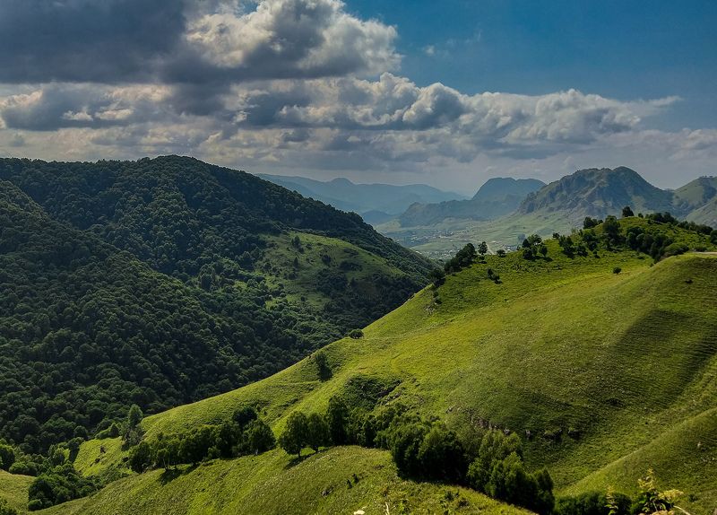 фото превью