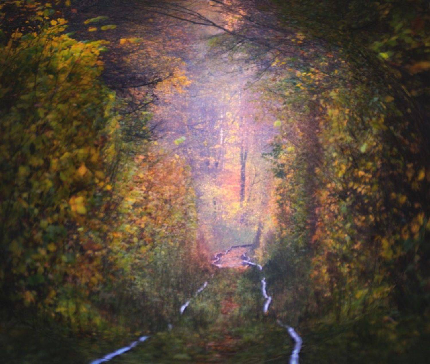 , Сергей Кочергин