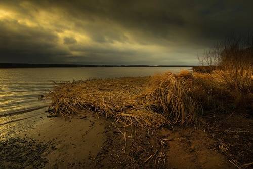 Ноябрь на Волге. Между дождём и снегом