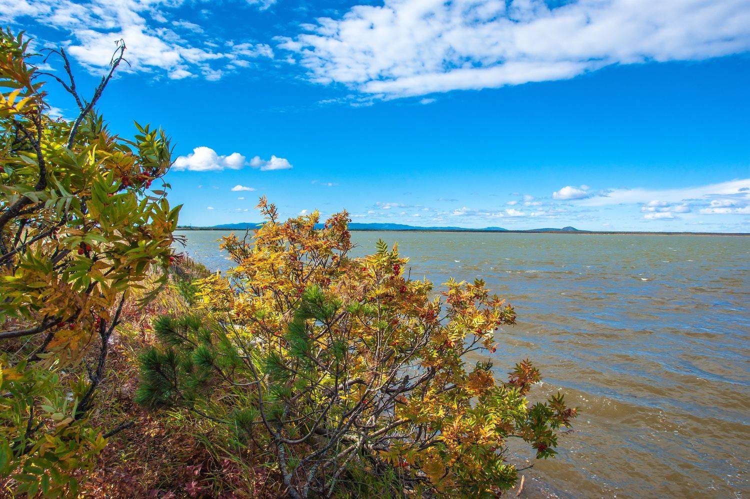 , Андрей Загребельный