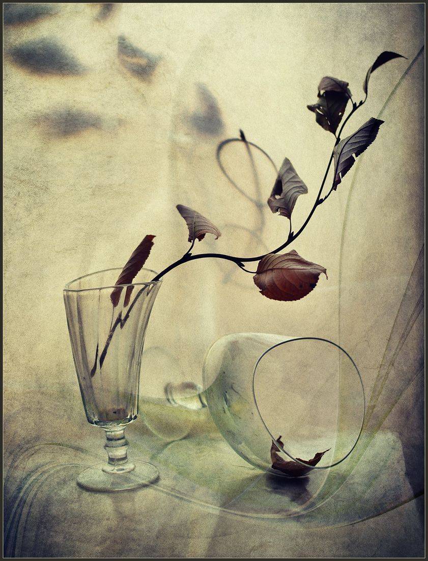 , Хромеев Александр