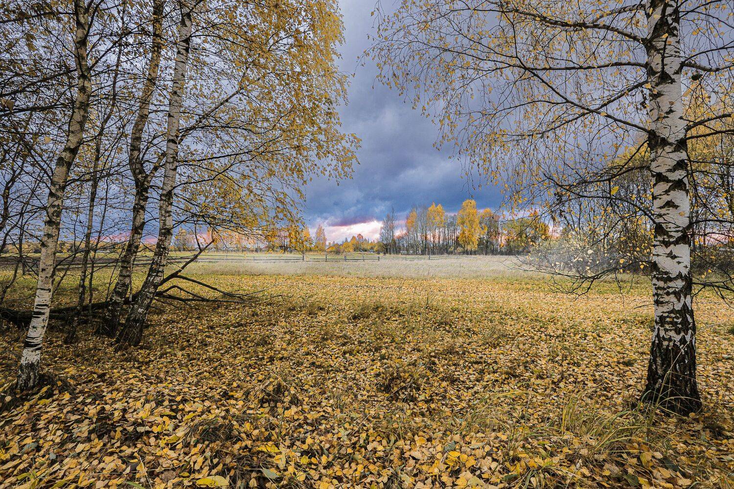 , Зеленько Дмитрий