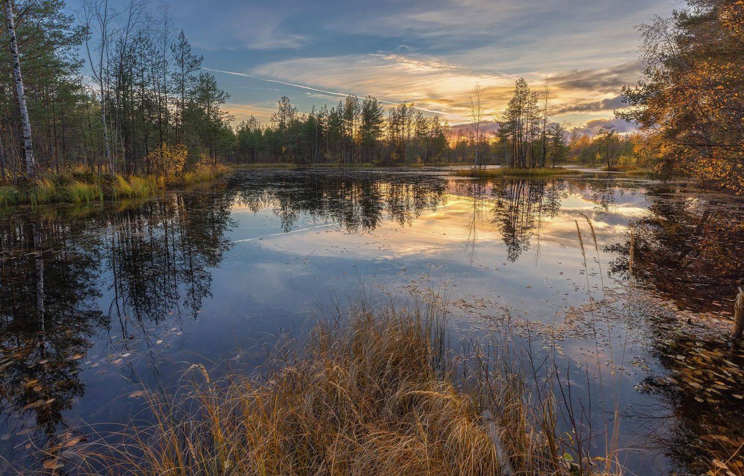 сестрорецк болото осень  небо октябрь вода закат отражение, Скороходов Константин