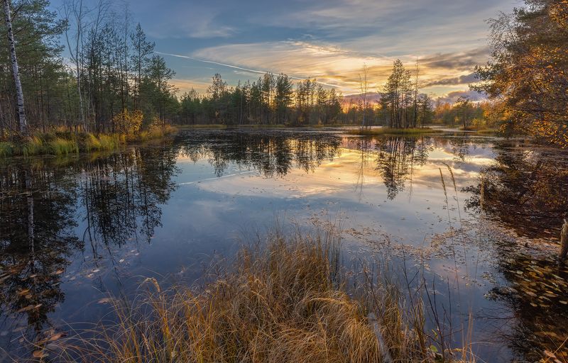 сестрорецк болото осень  небо октябрь вода закат отражение Поэзия природы фото превью