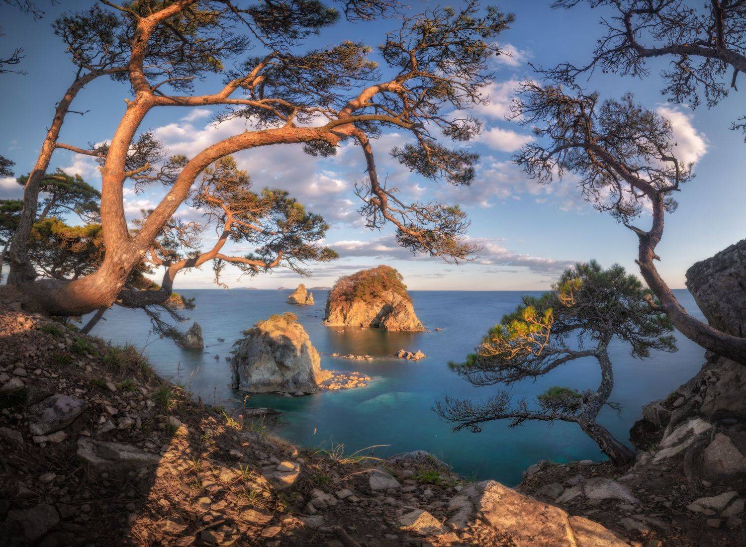 приморье, Андрей Грачев