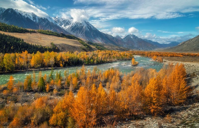 Осенний Аргут... фото превью