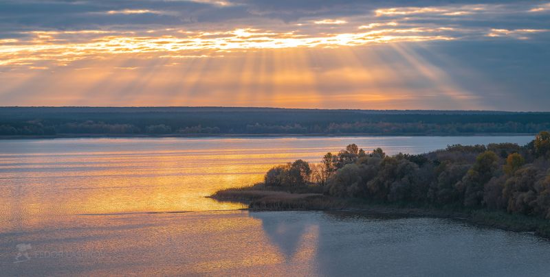 Золотое утро фото превью