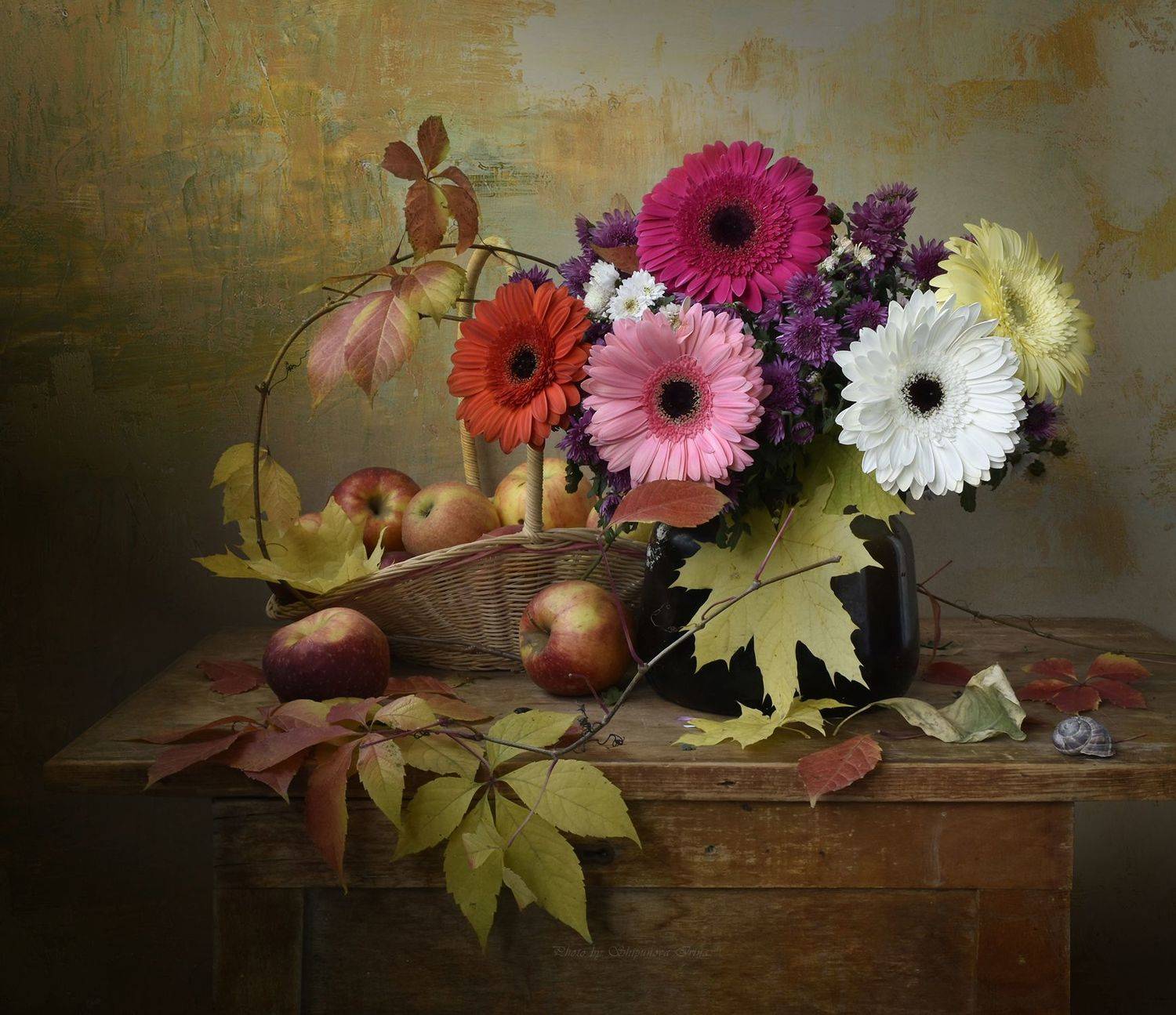 , Шипунова Ирина