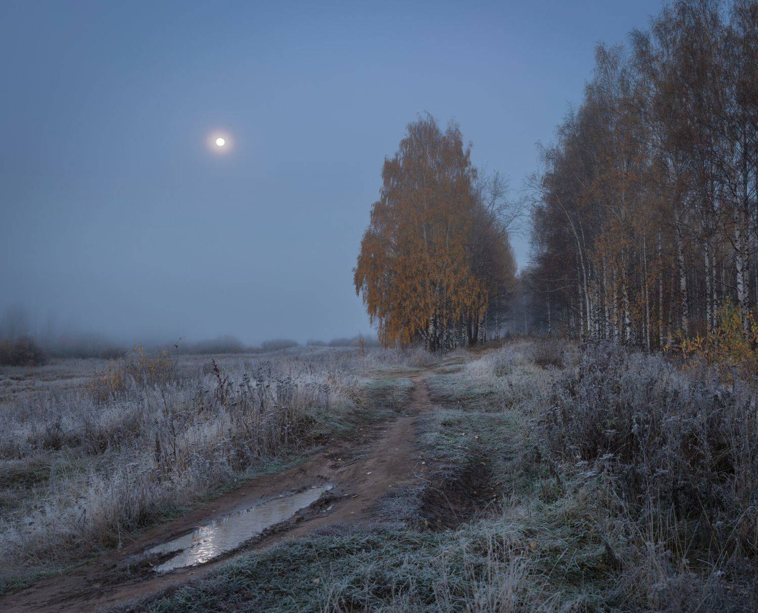 луна утро мороз иней осень пейзаж, Сергей Буторин