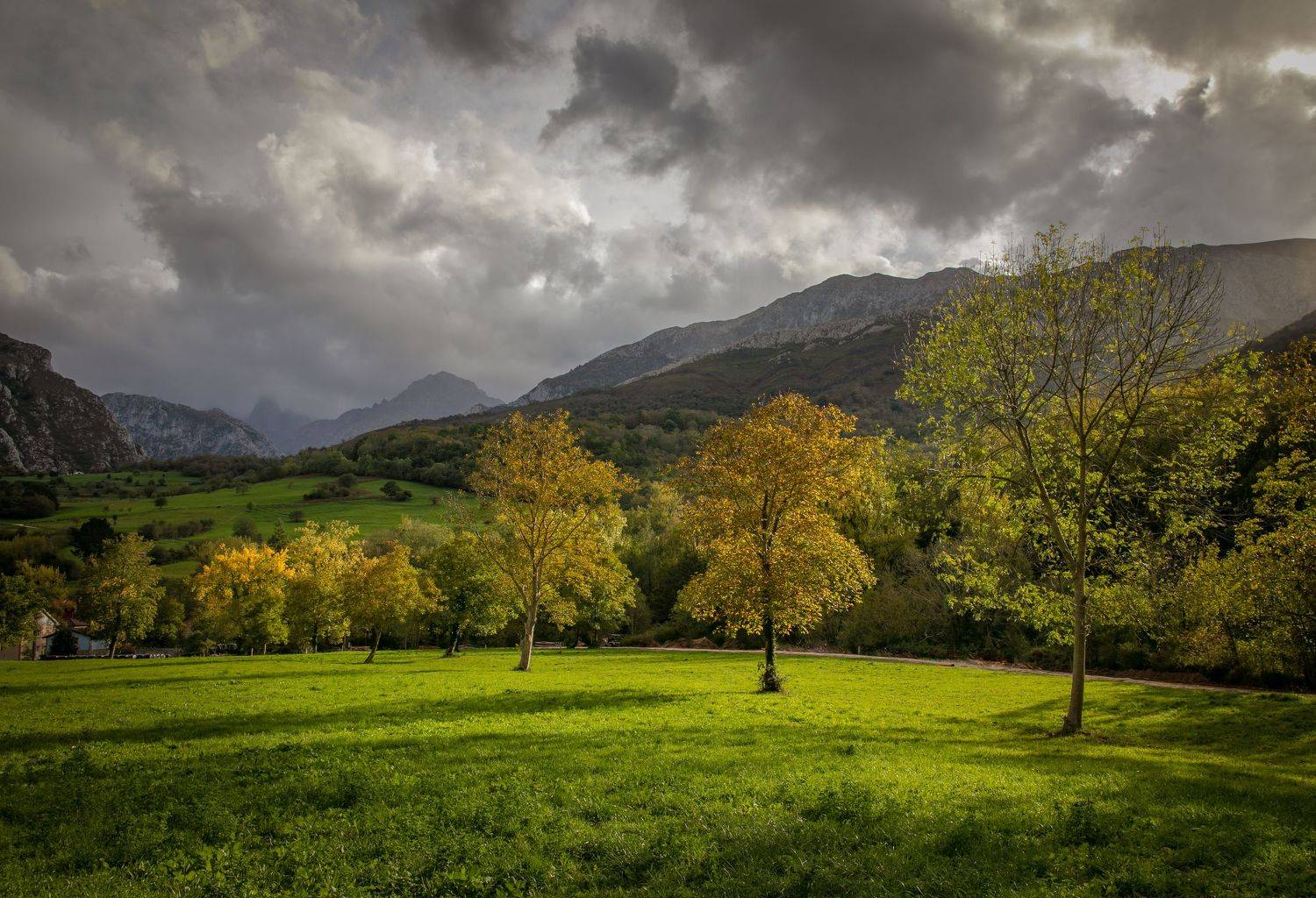 , Алекс Римский