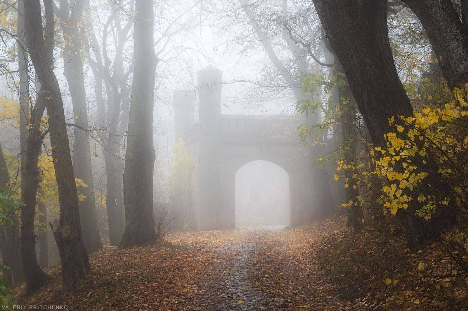 , Валерий Притченко