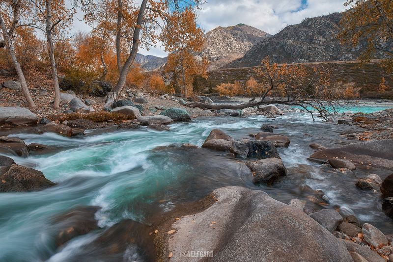 Алтай, осень, река, горы  фото превью