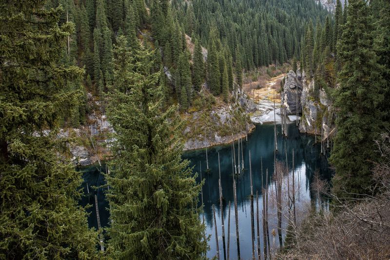 Озеро Каиынды. Казахстан фото превью