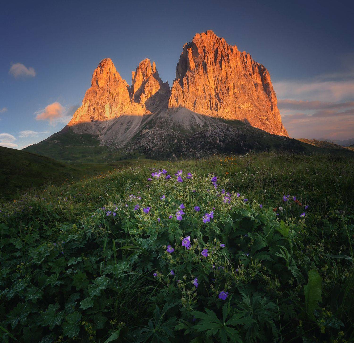 Sassolungo, Langkofel, South Tyrol, Dolomites, Italy, горы, лето, Евгений Матюшенков