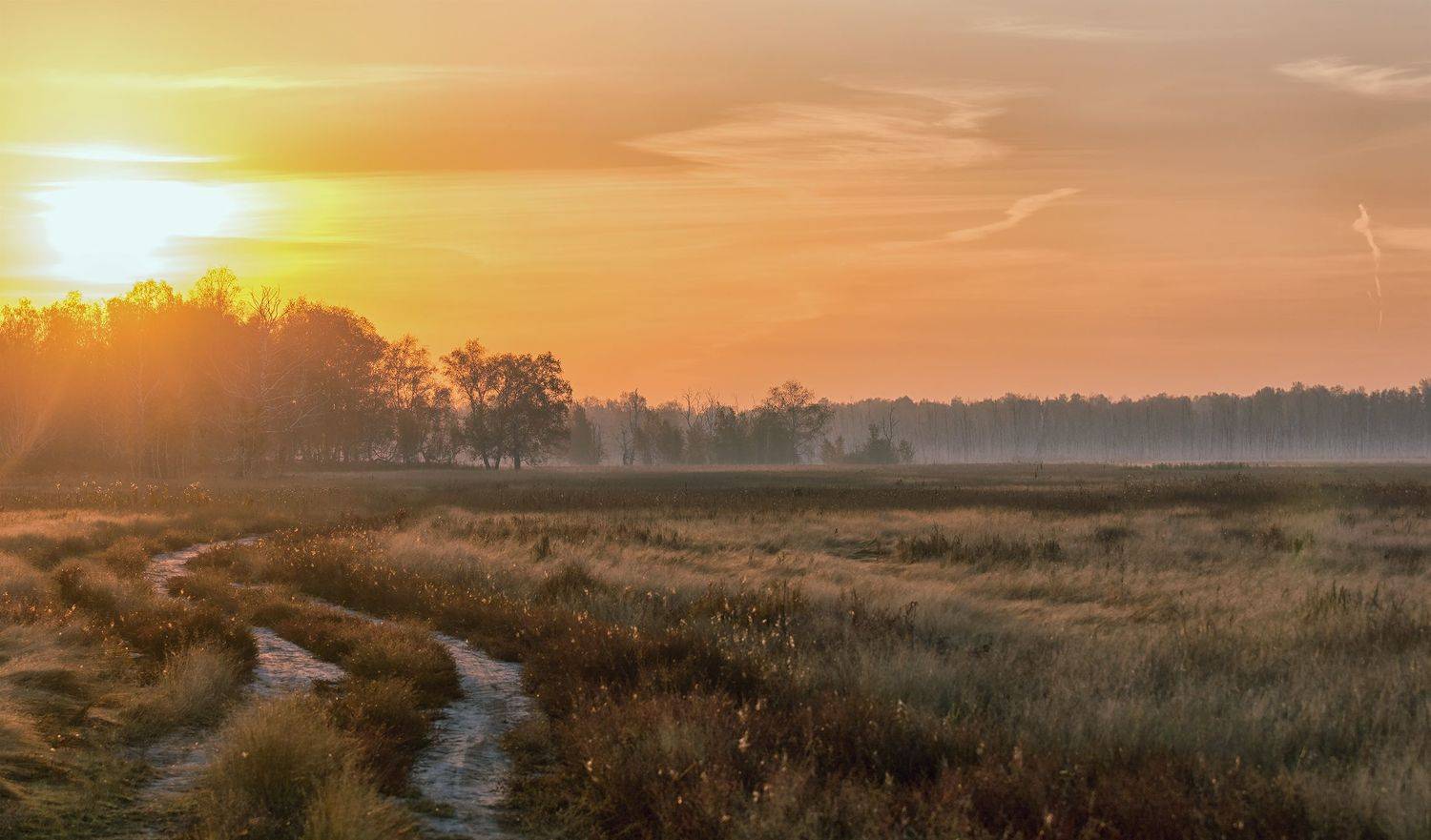 утро, солнце, степь, лес, туман, осень,, Марина Мочалова