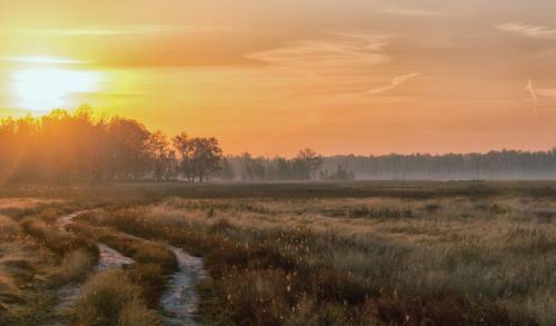 солнечный ветер..