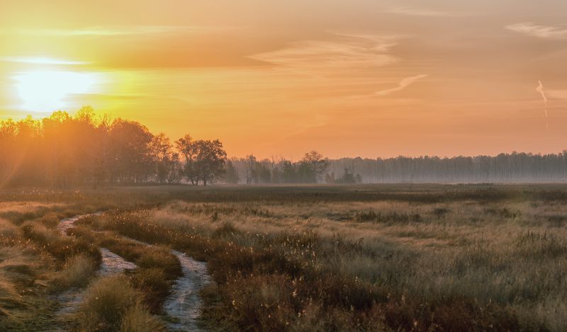 утро, солнце, степь, лес, туман, осень, солнечный ветер.. фото превью