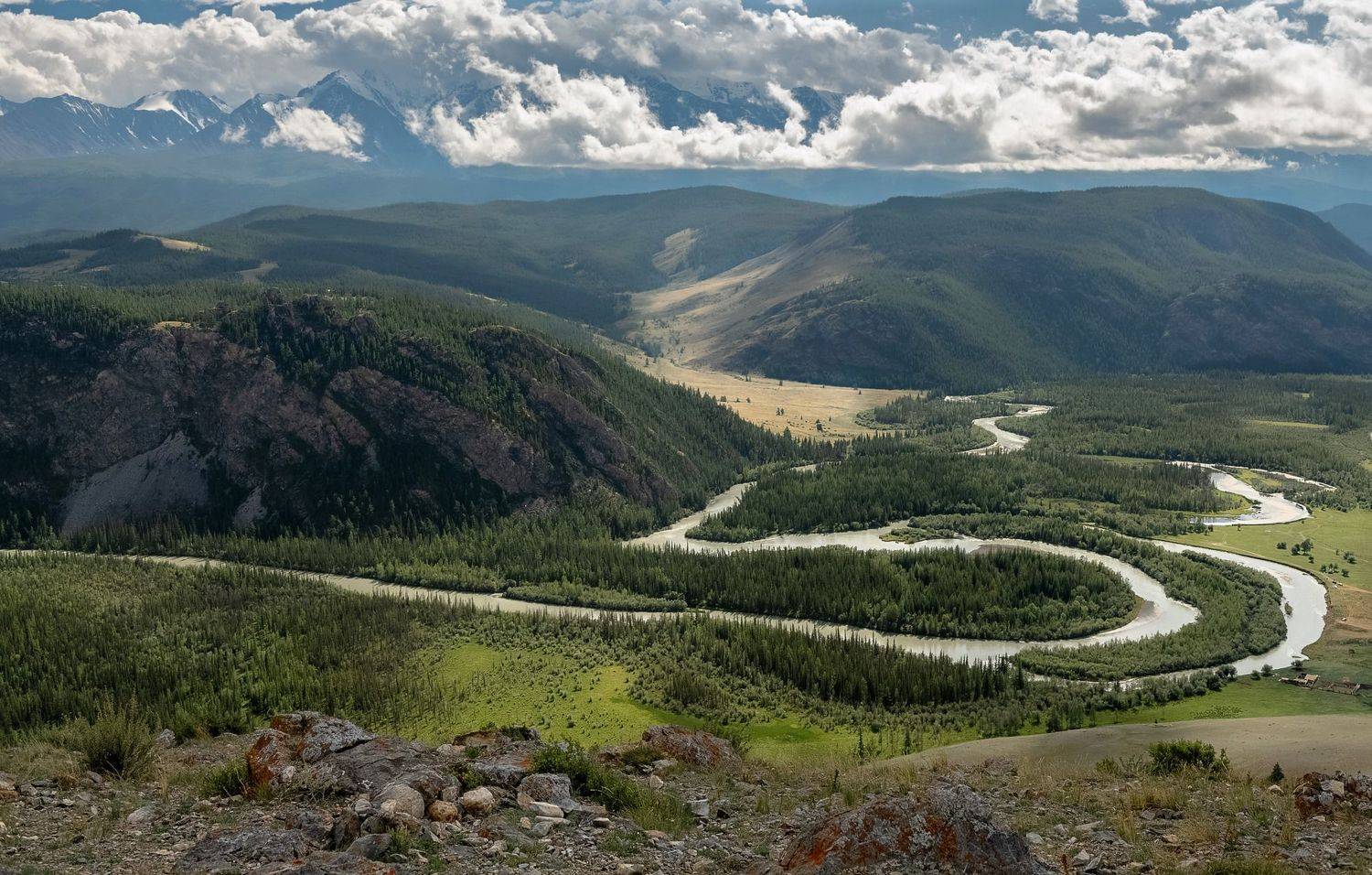 чуя, северо-чуйский хребет, республика алтай, лето, Марина Фомина