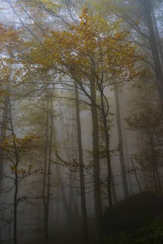 The colors of Autumn