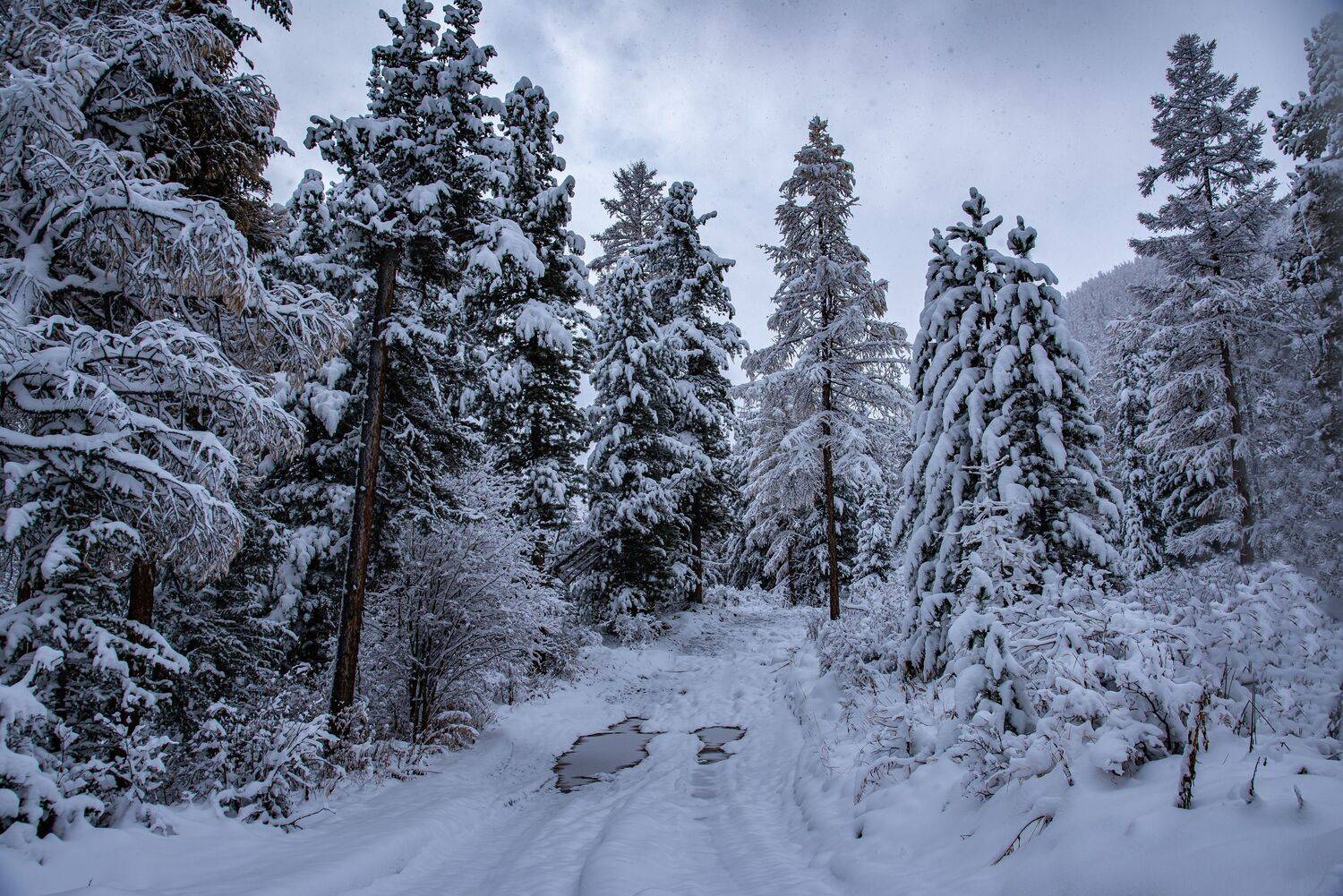 алтай. осень. горы., Евгений Дроботенко